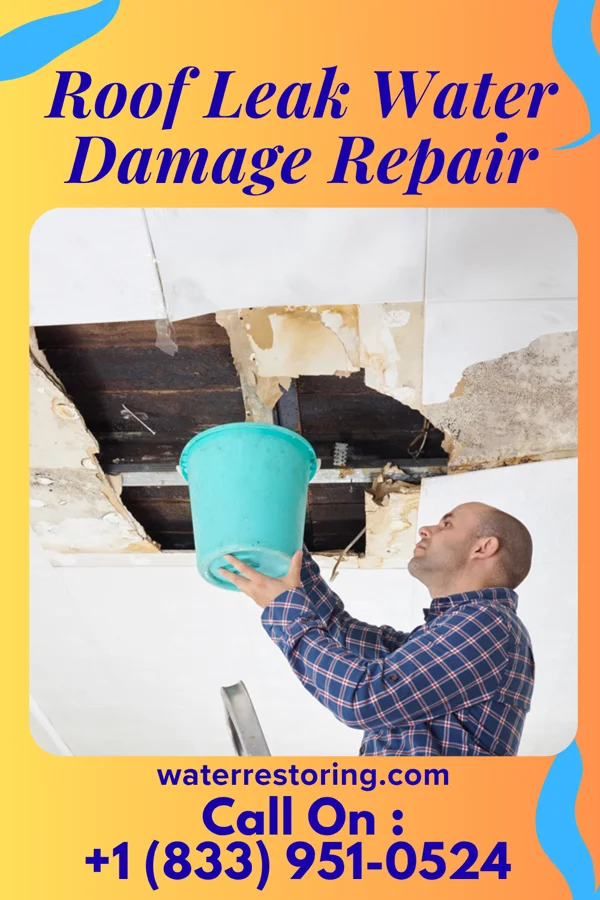 Roof Leak Water Damage Repair in Raft Island, WA